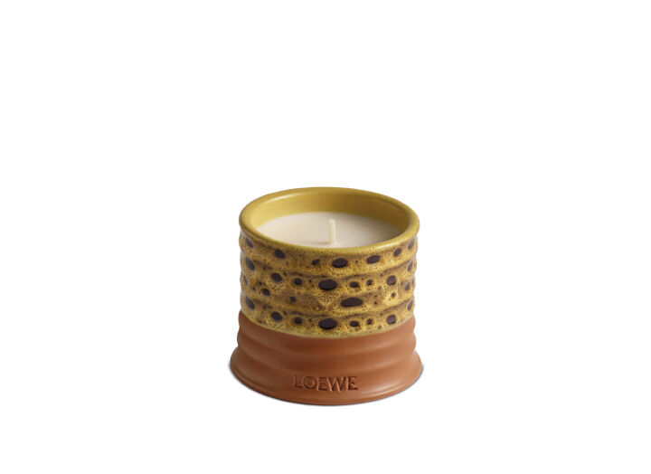 Small Mimosa Candle