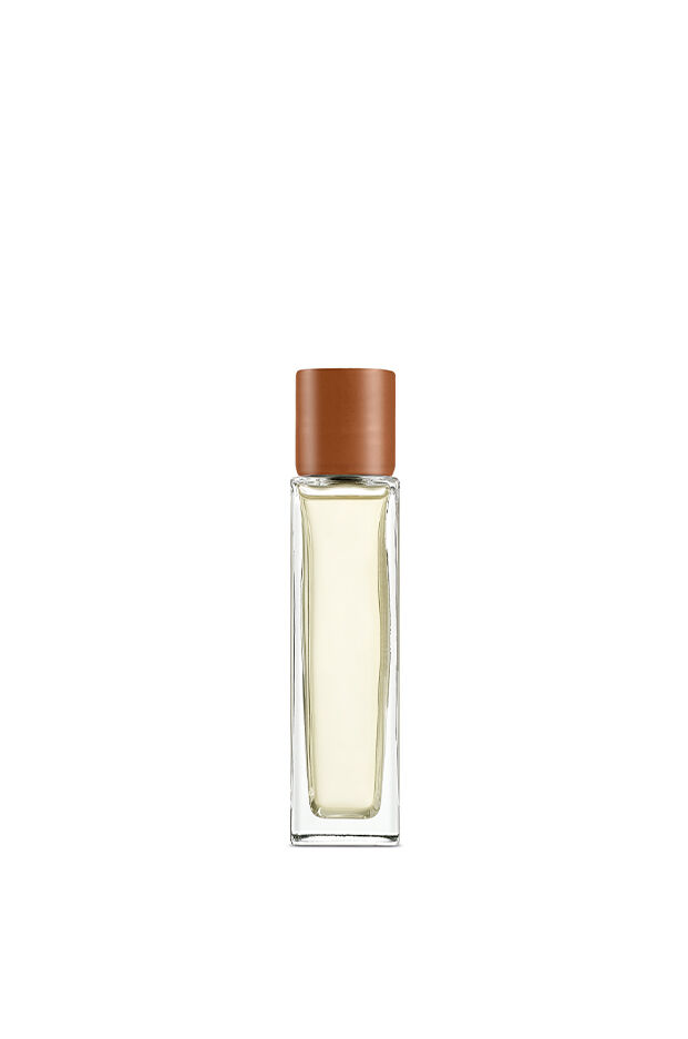 Buy online Juniper Berry room spray | LOEWE Perfumes