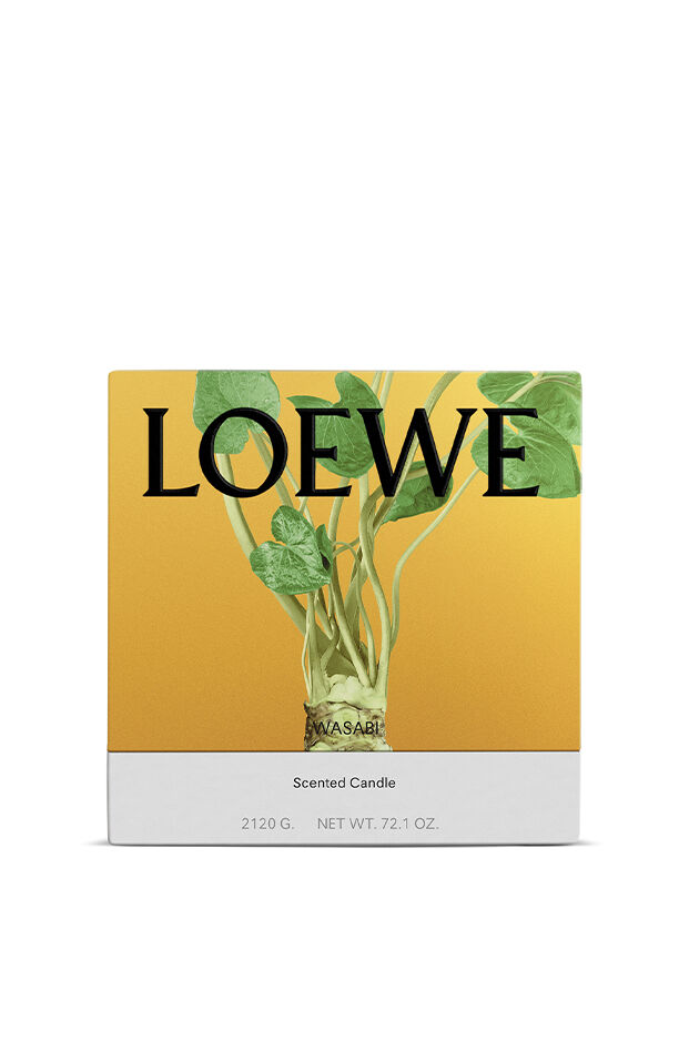 ルームフレグランス | LOEWE Perfumes