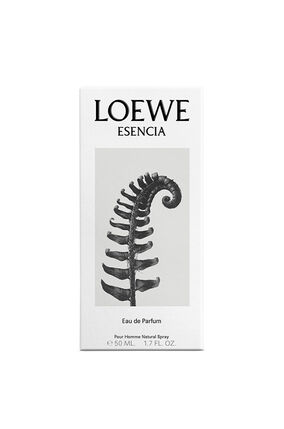 Loewe Esencia Pour Homme 100ml Eau De Toilette Spray – Alicisse boutique