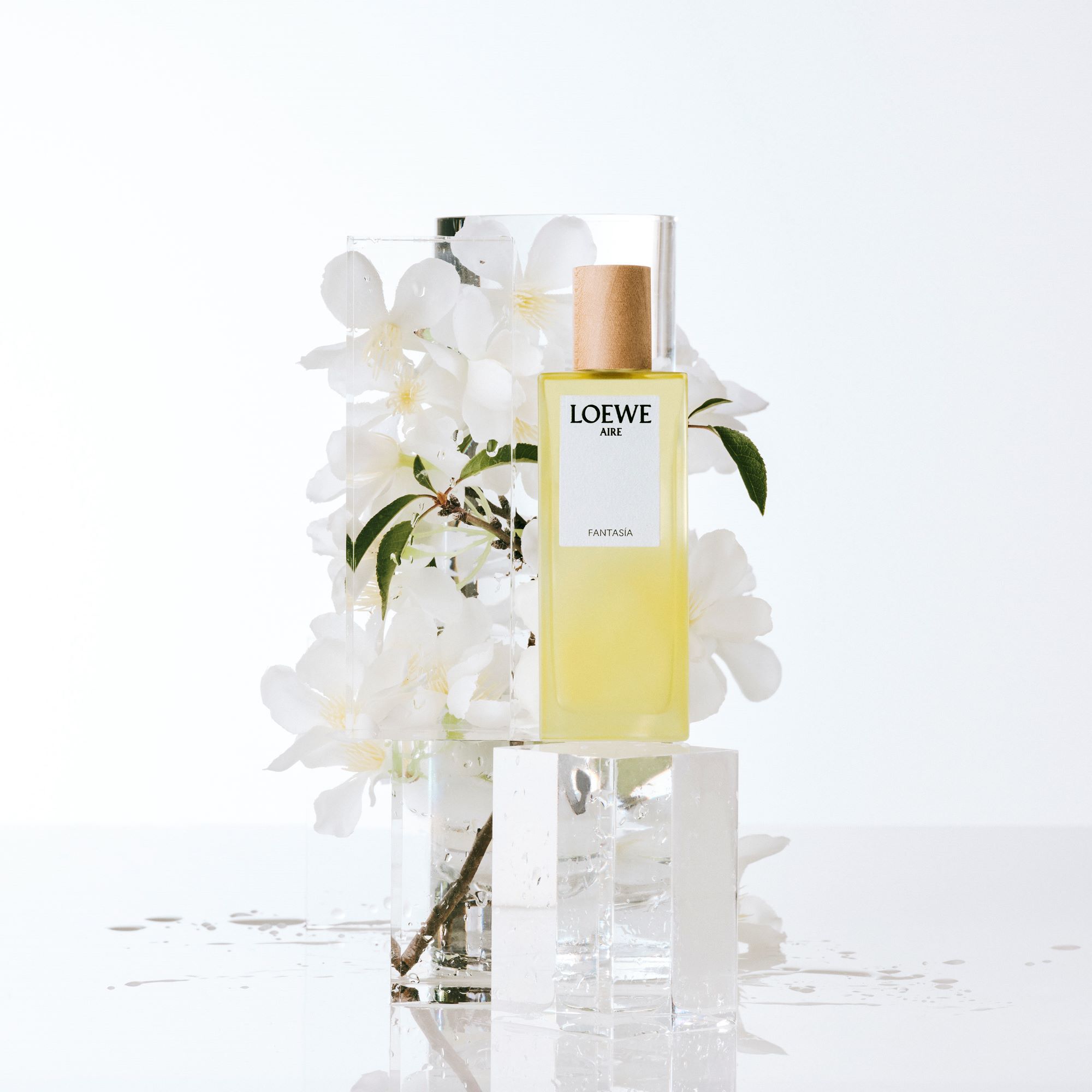 LOEWE Aire | LOEWE Perfumes