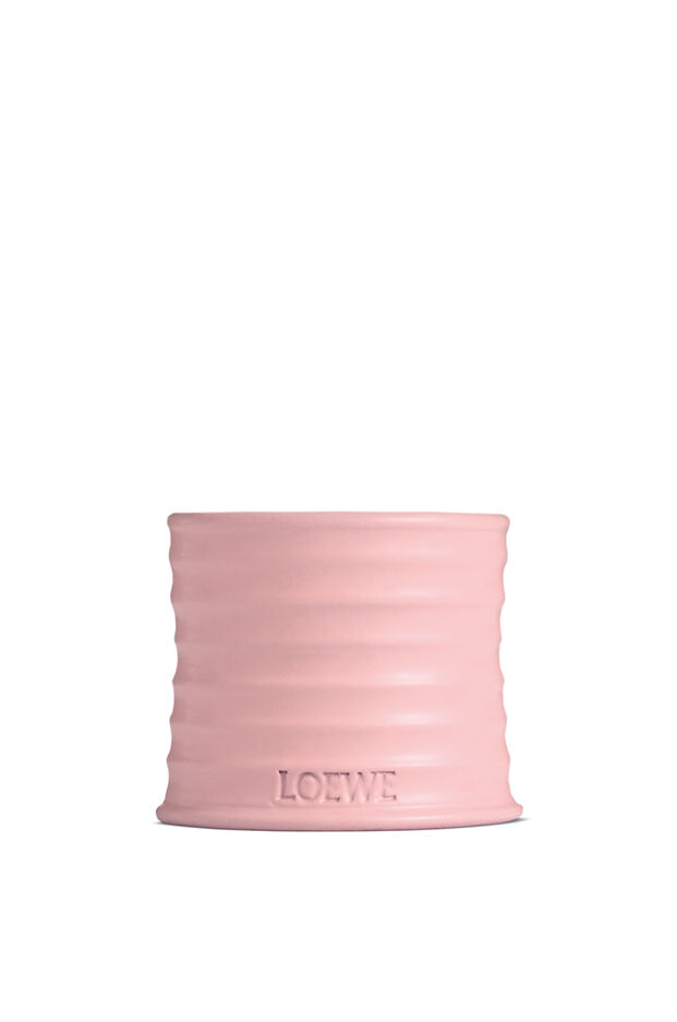 Loewe candle discount ivy