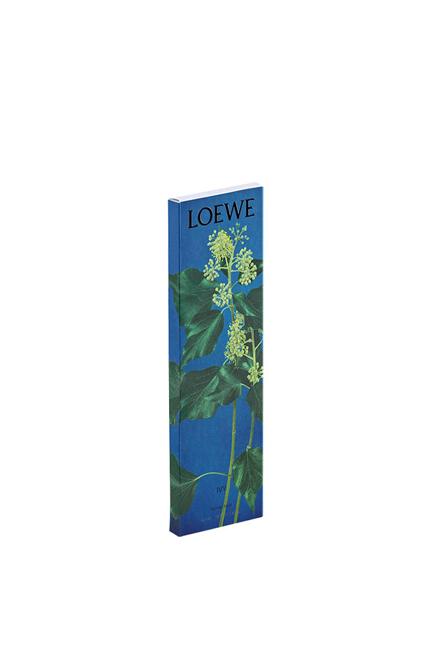 Incense Sets | LOEWE Perfumes