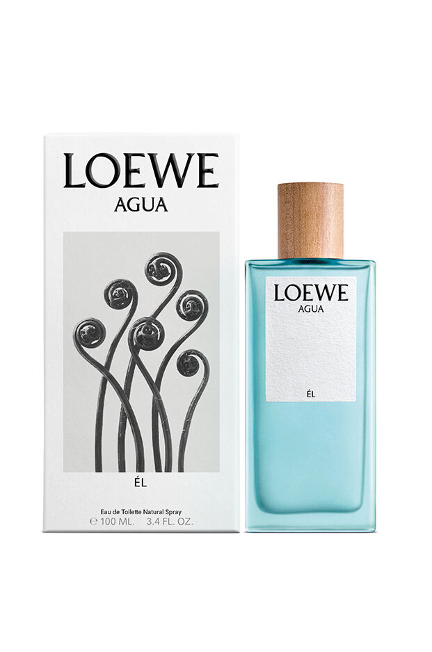 定番100%新品残9.5割　ロエベ（LOEWE）アグアオードゥトワレ　香水　フレグランス 香水(ユニセックス)