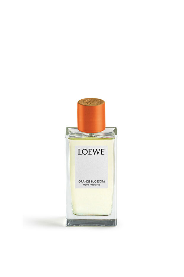 ルームスプレー | LOEWE Perfumes