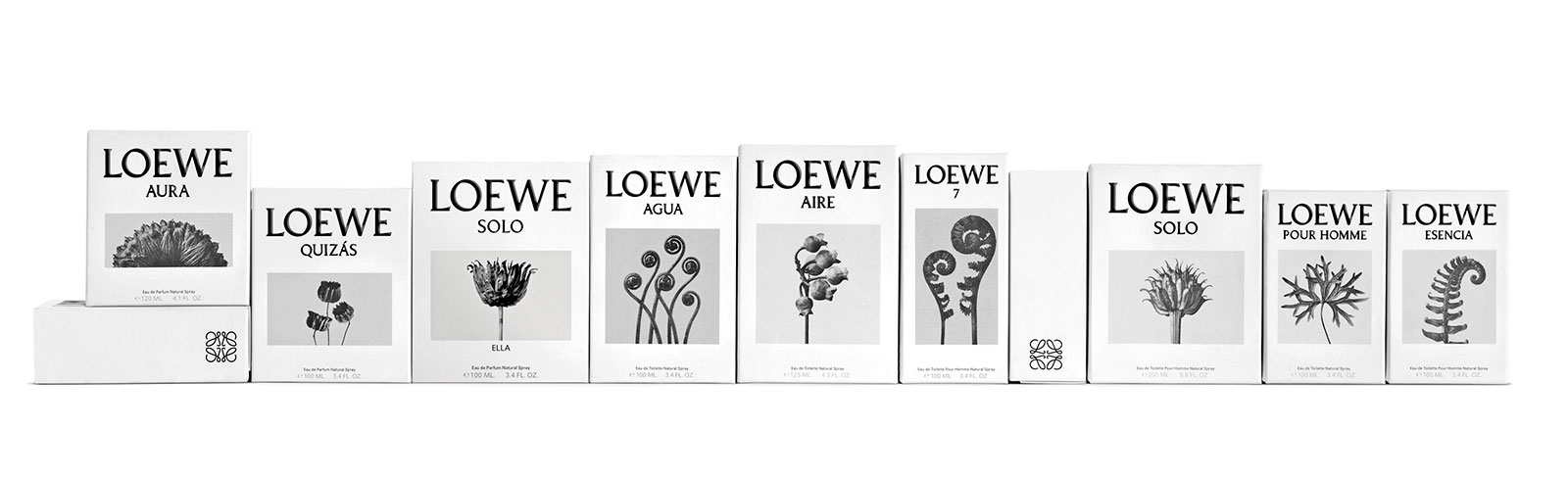 Loewe Perfumes Official Online Store