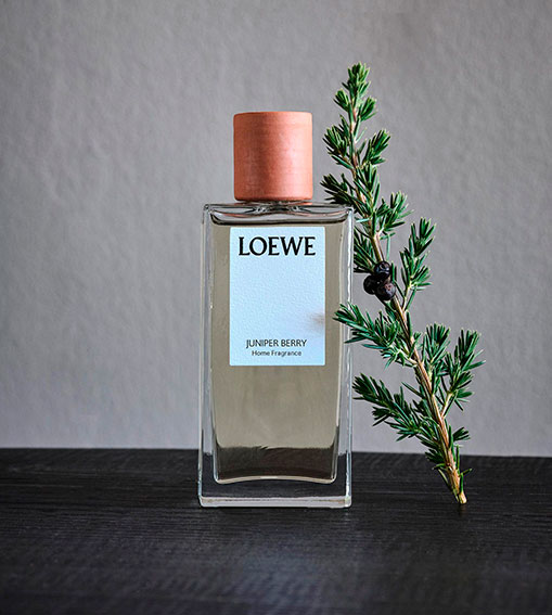 LOEWE Perfumes - Home Scents