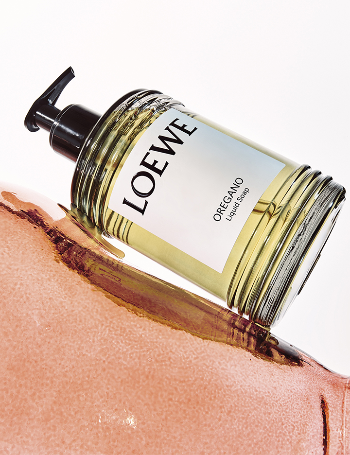 Welcome to LOEWE · Official website